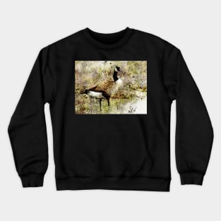 Canada goose Crewneck Sweatshirt